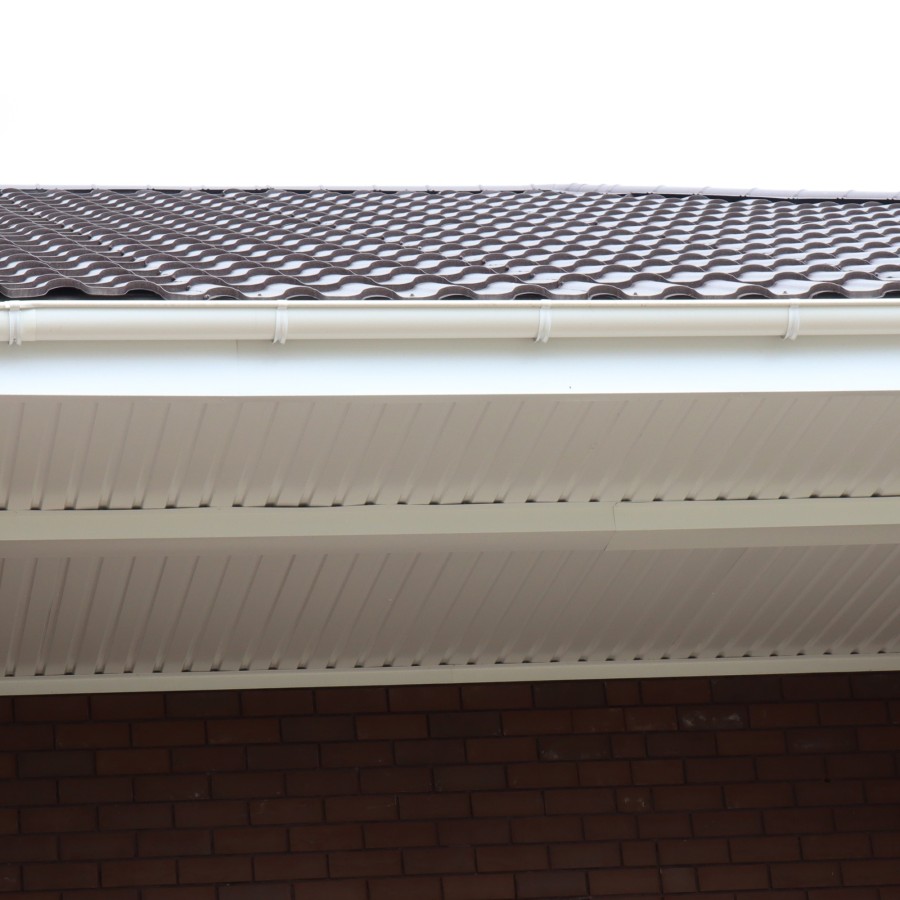 IMG_2240_1