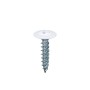 4,2х19_Ц_Ral 9003_2